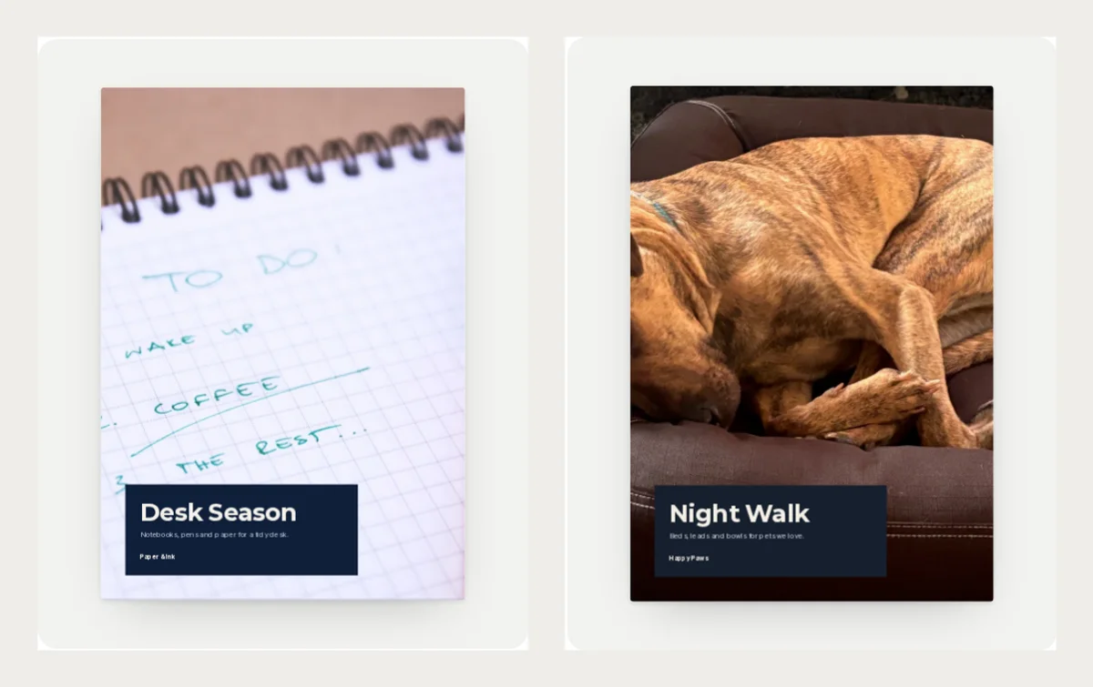Two lookbook covers: Desk Season with a notebook page, and Night Walk with a dog asleep on a leather sofa