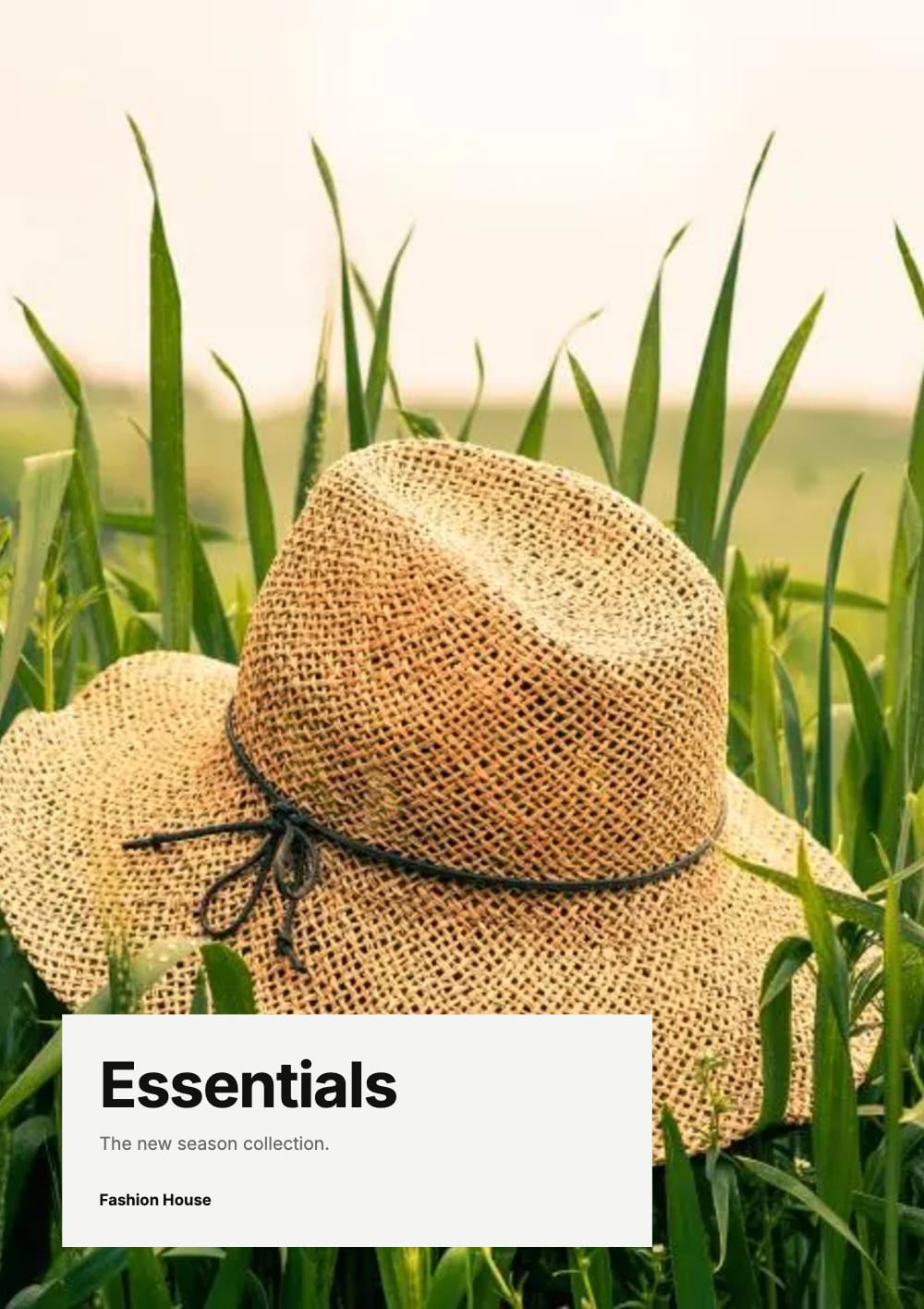 Cover of the Essentials fashion & accessories lookbook template