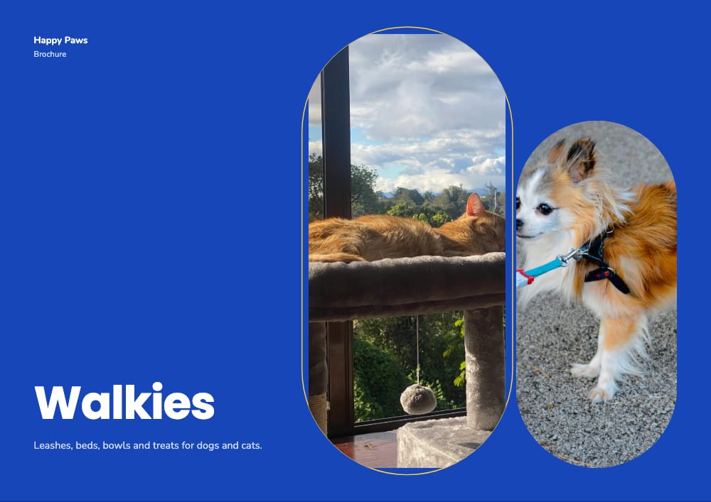 Cover of the Walkies pet supplies brochure template