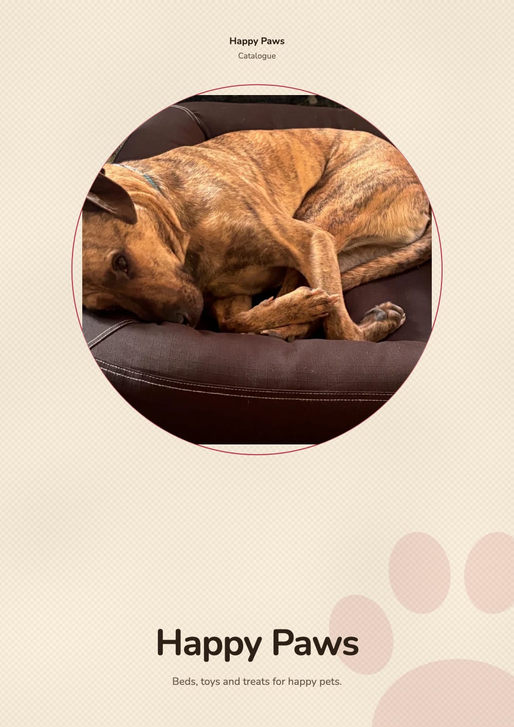 Cover of the Sunny Paws pet supplies catalogue template