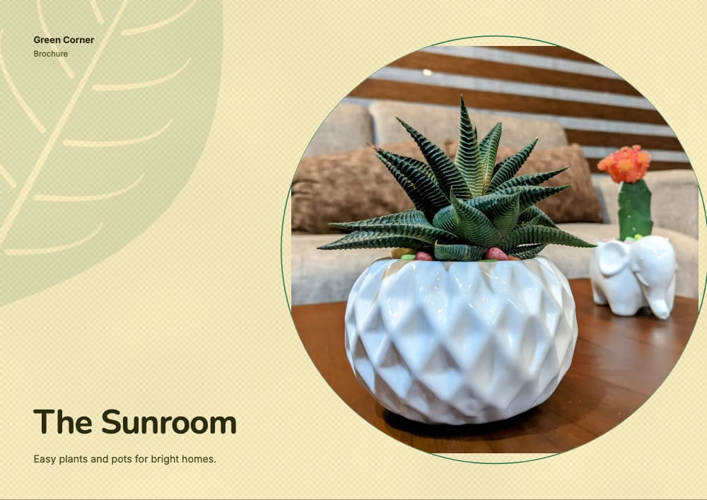Cover of the Sunroom plants & garden brochure template