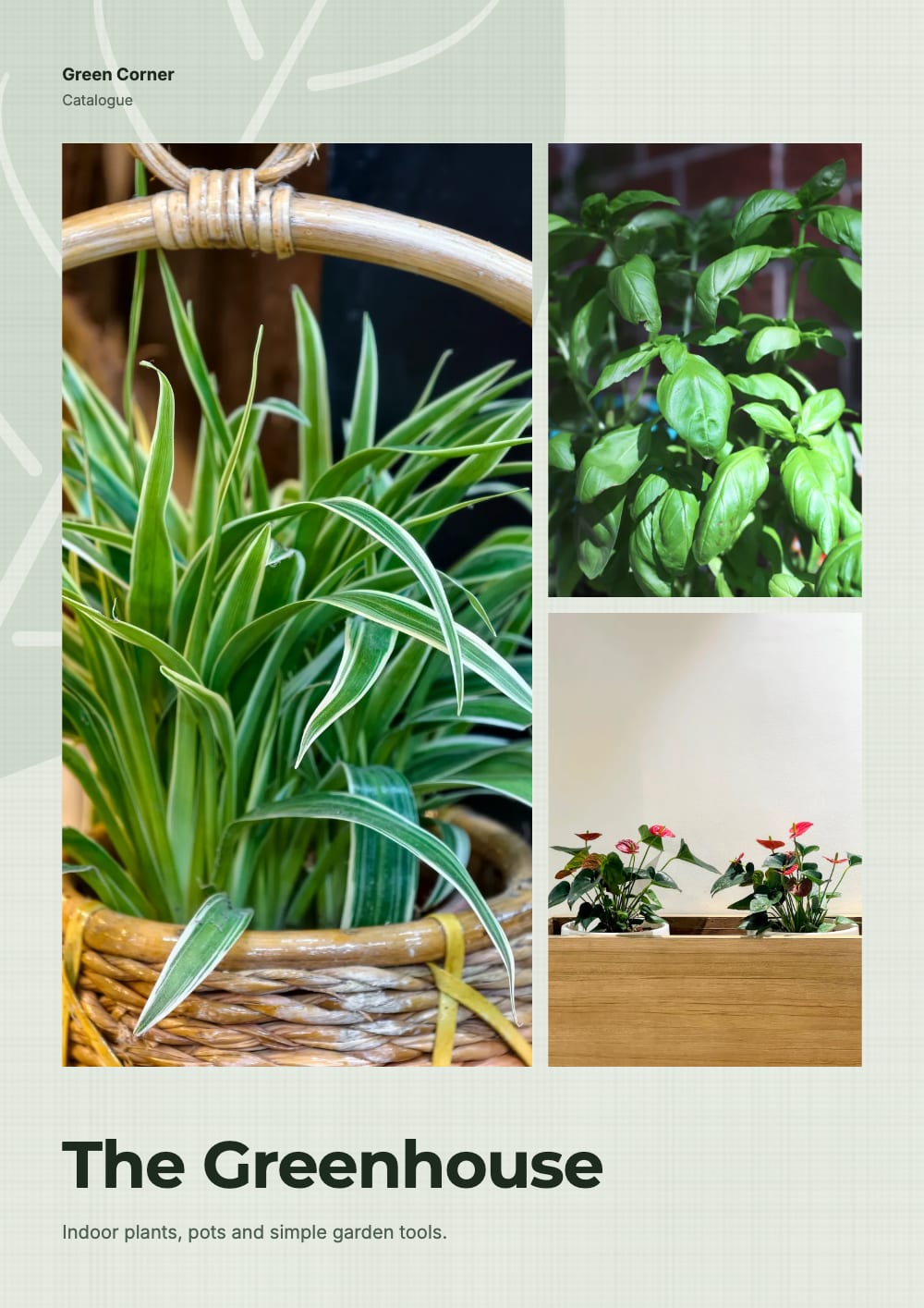 Cover of the Greenhouse plants & garden catalogue template