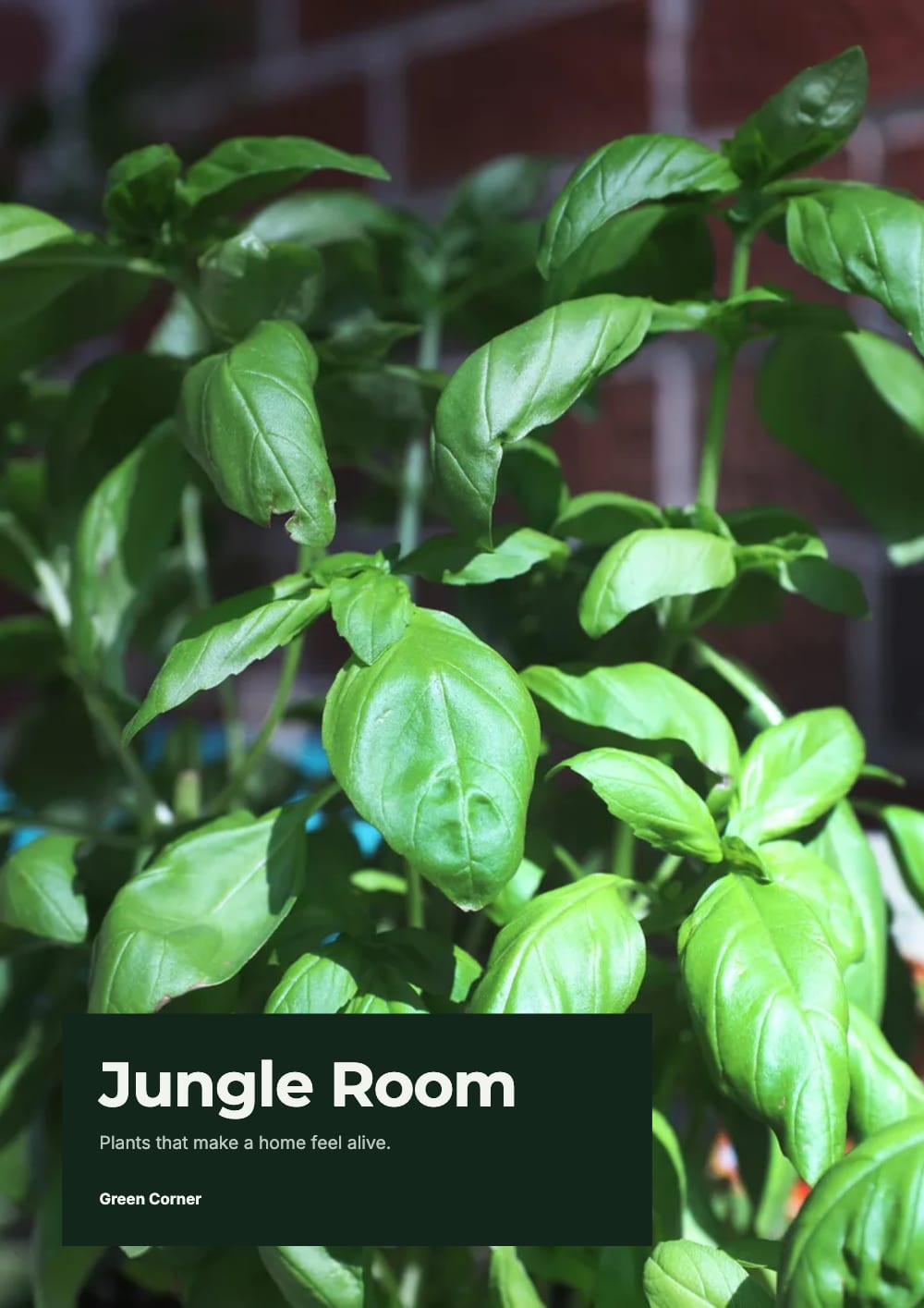 Cover of the Jungle Room plants & garden lookbook template