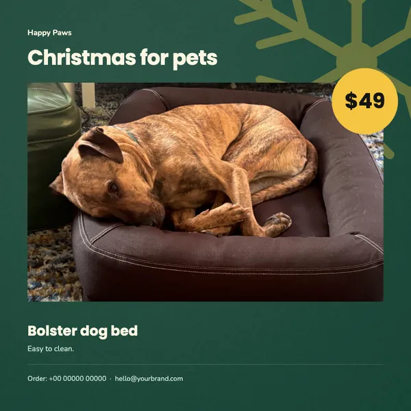 Page 2 of the Christmas Treats pet supplies flyer template: flyer