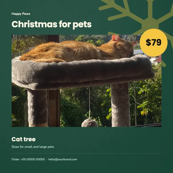 Page 3 of the Christmas Treats pet supplies flyer template: flyer