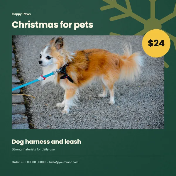 Page 4 of the Christmas Treats pet supplies flyer template: flyer