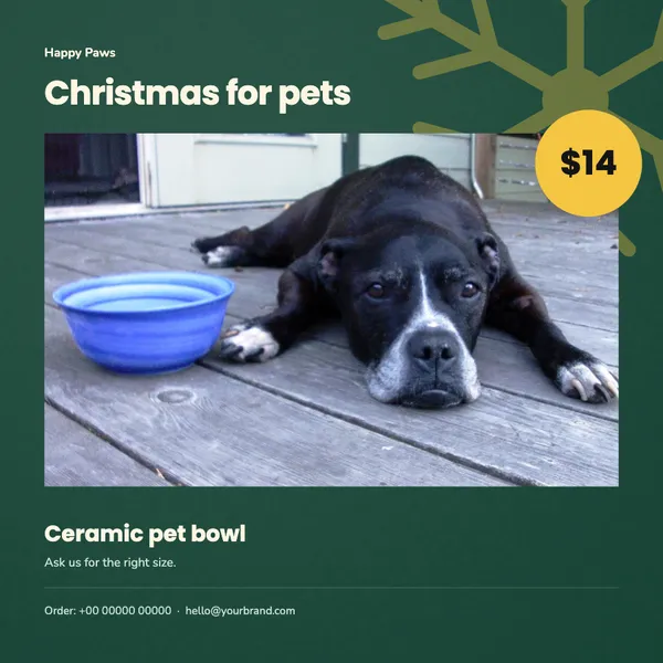 Page 5 of the Christmas Treats pet supplies flyer template: flyer