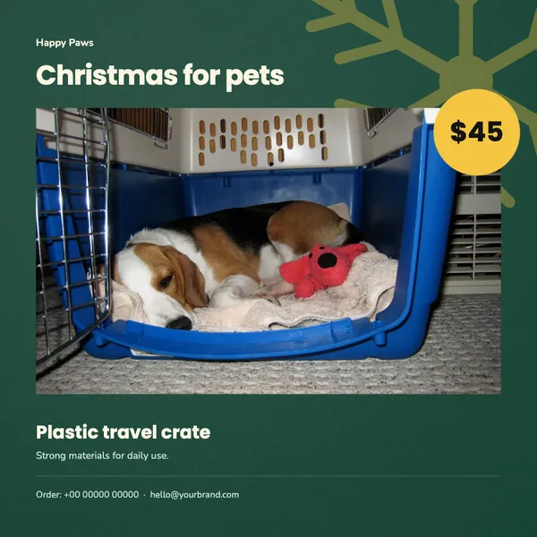 Page 8 of the Christmas Treats pet supplies flyer template: flyer