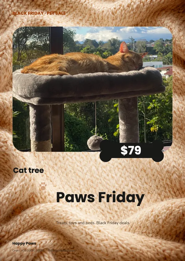 Page 1 of the Paws Friday pet supplies flyer template: flyer