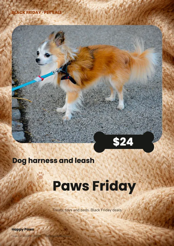 Page 2 of the Paws Friday pet supplies flyer template: flyer
