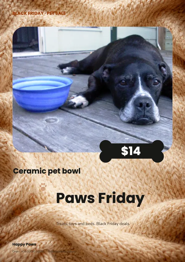 Page 3 of the Paws Friday pet supplies flyer template: flyer