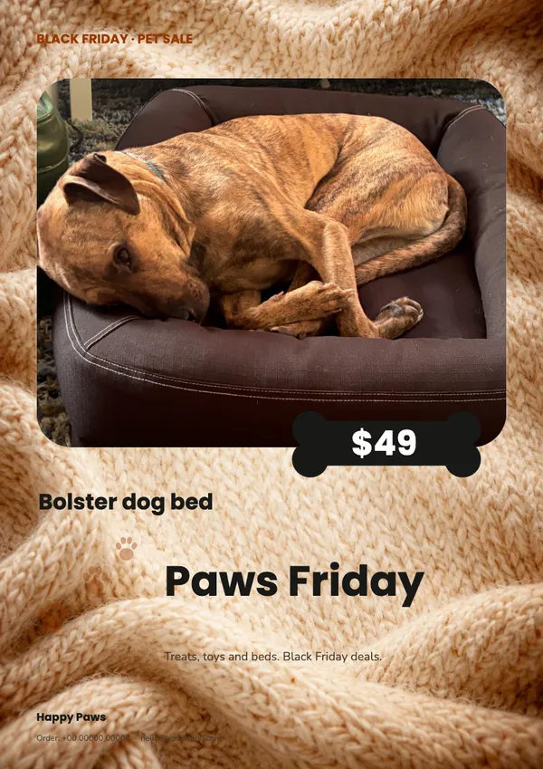Page 8 of the Paws Friday pet supplies flyer template: flyer