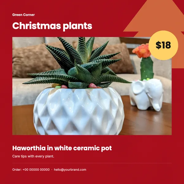 Page 6 of the Christmas Greens plants & garden flyer template: flyer