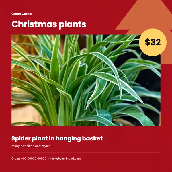 Page 7 of the Christmas Greens plants & garden flyer template: flyer