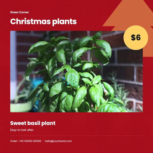 Page 8 of the Christmas Greens plants & garden flyer template: flyer